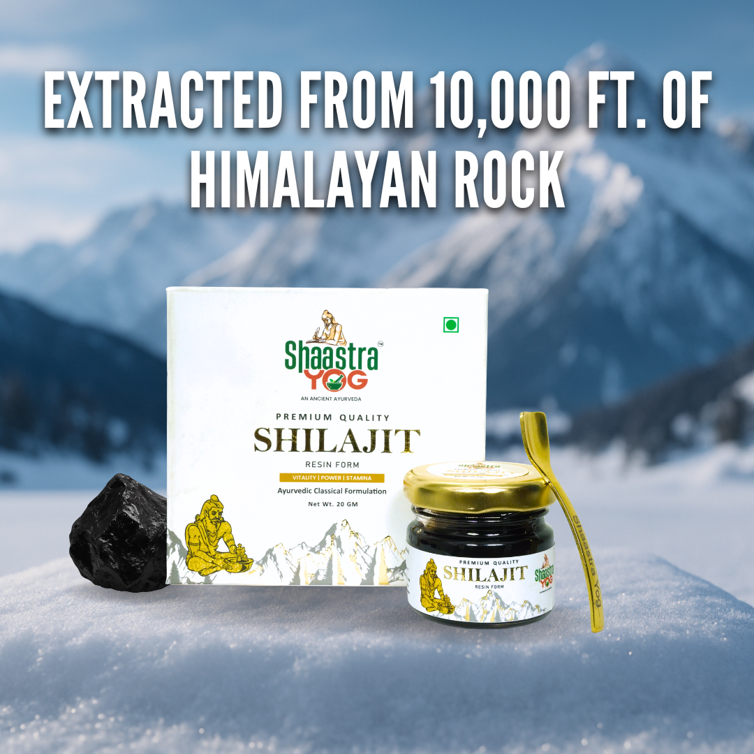 Premium Quality Shilajit2