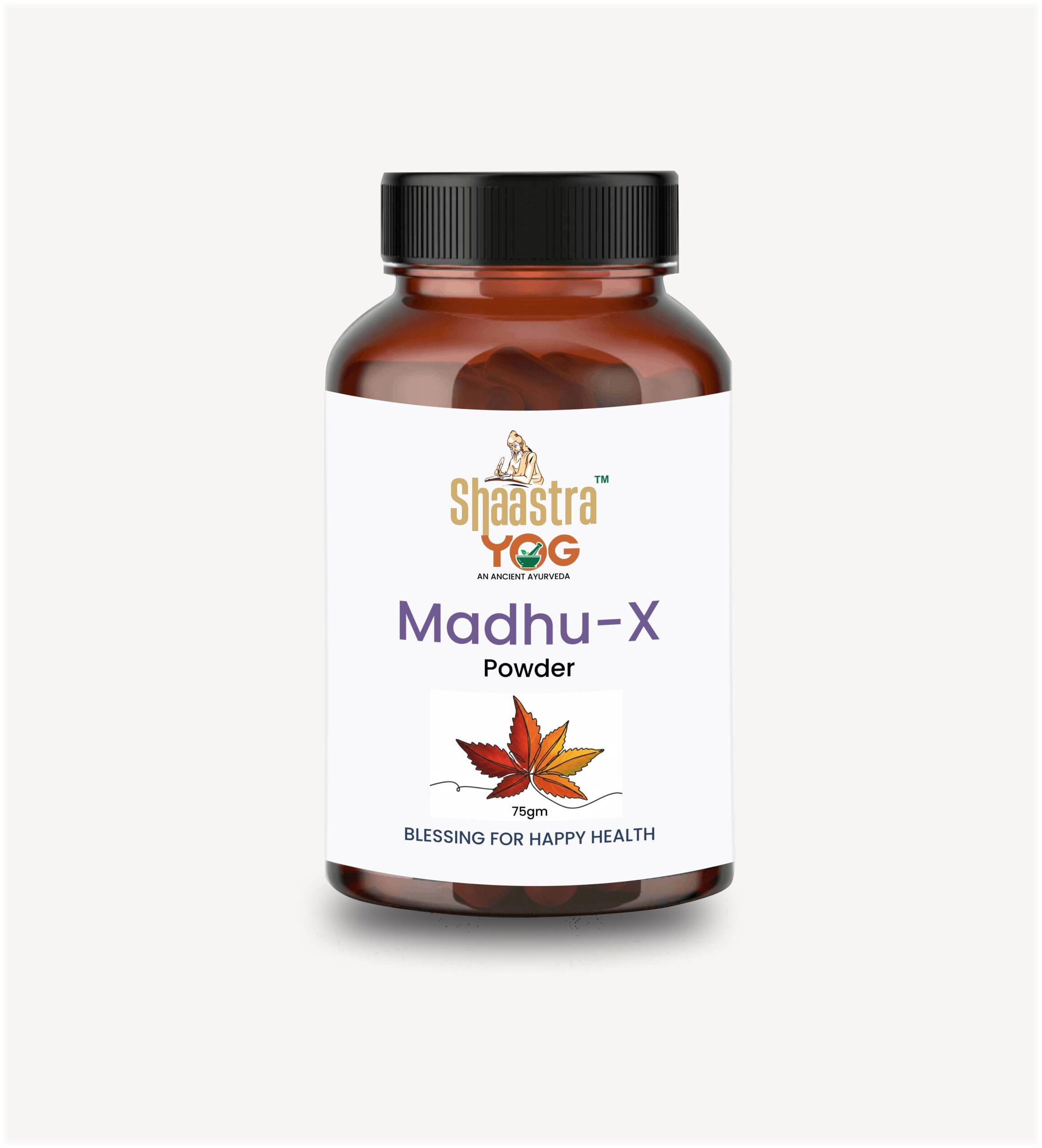 Shaastrayog Madhu X Diabetes Care Powder | Ayurvedic Wellness Supplement - Image 2